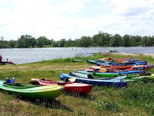 Kanufahren auf der Oder bei Brieskow-Finkenheerd