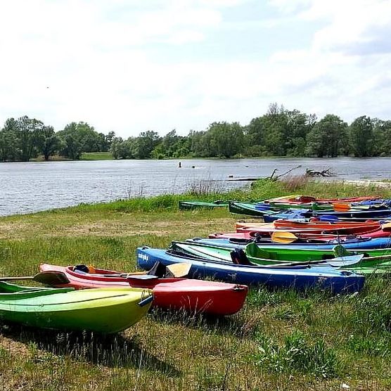 Kanufahren auf der Oder bei Brieskow-Finkenheerd