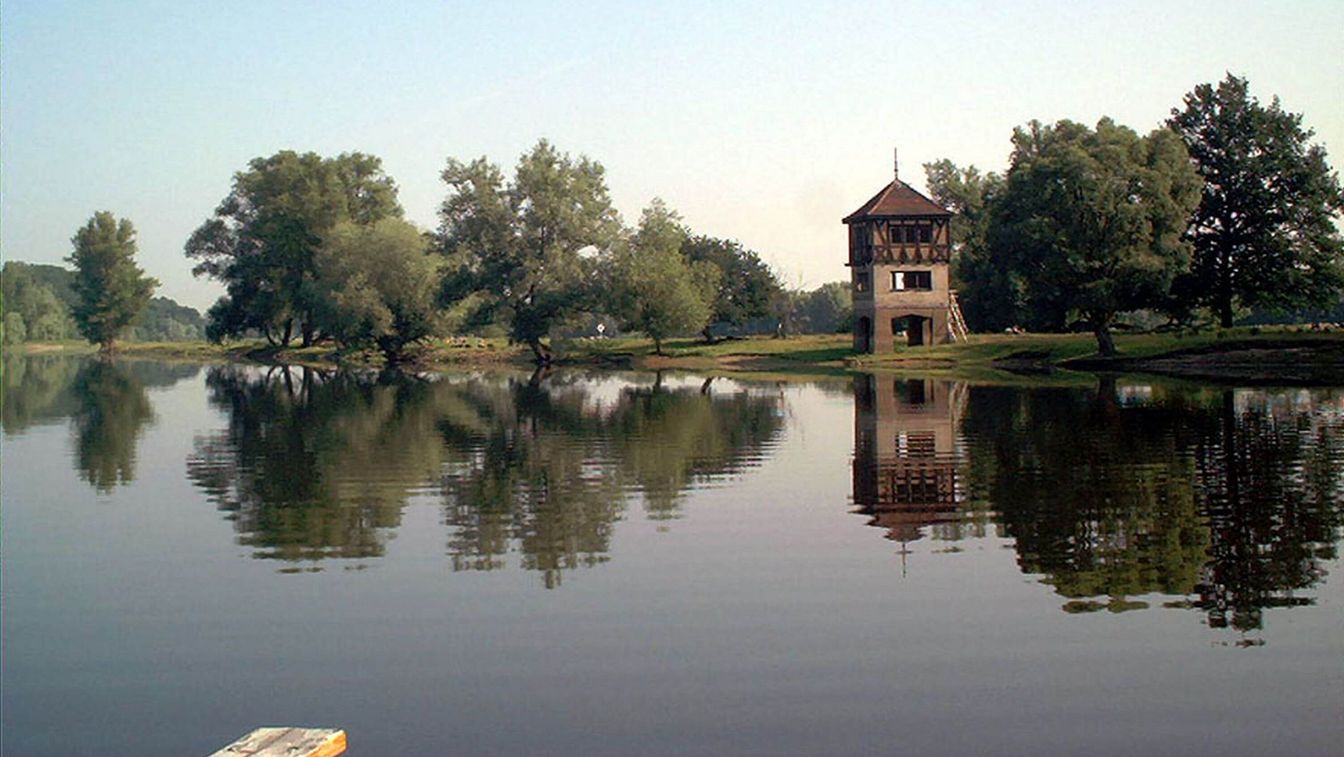 Brieskower See mit Zielrichterturm in Brieskow Finkenheerd in Oder-Spree