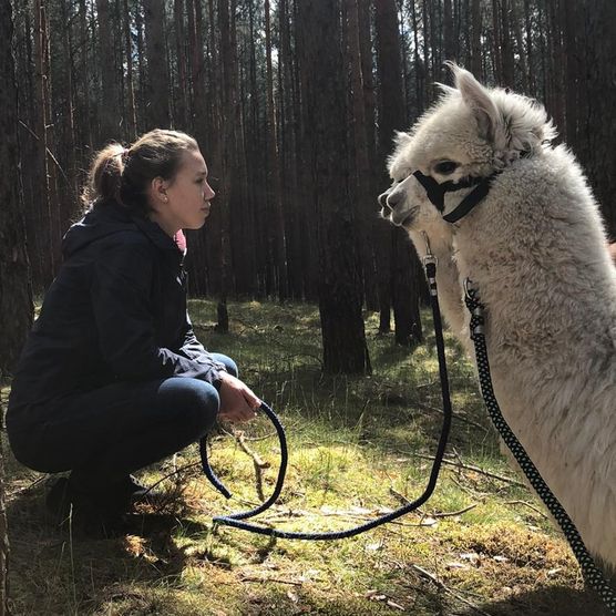 Frau mit Alpaka im Wald