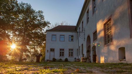 Innenhof Schloss Neuenhagen mit Sonne hinter den Bäumen 