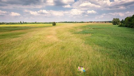 Wiesenlandschaft im Naturpark Dahme-Heideseen