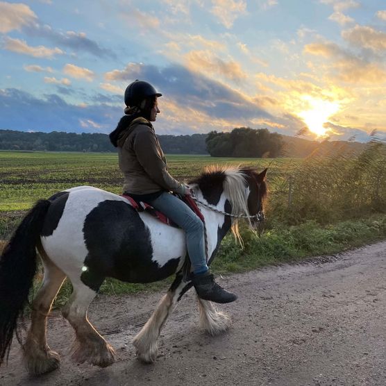 Eine Frau reitet auf einem Pferd in Richtung Sonnenuntergang auf einem Feldweg.