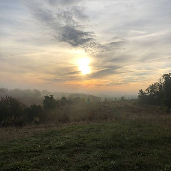 Blick auf Sonnenuntergang über eine Wiese hinweg