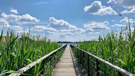 Kurfürstensteg in Bad Saarow mit Blick auf den Scharmützelsee