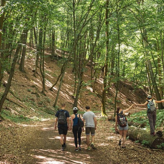 Wandern in der Märkischen Schweiz auf den NaturaTrail in Märkisch Oderland