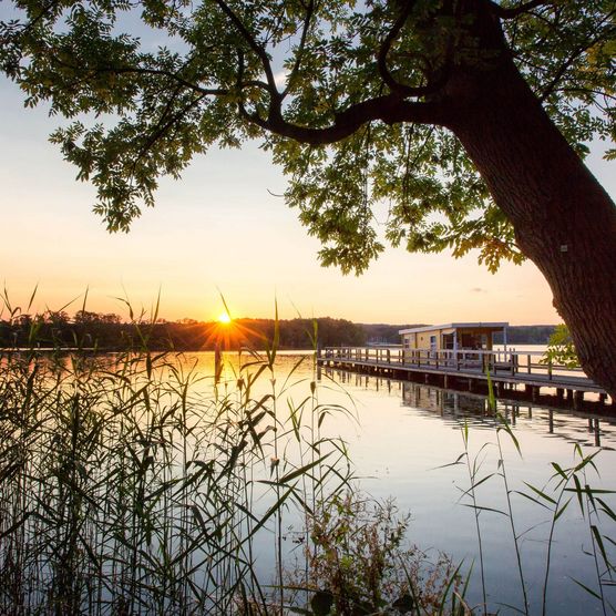 Cecilienpark in Bad Saarow am Scharmützelsee bei Sonnenuntergang