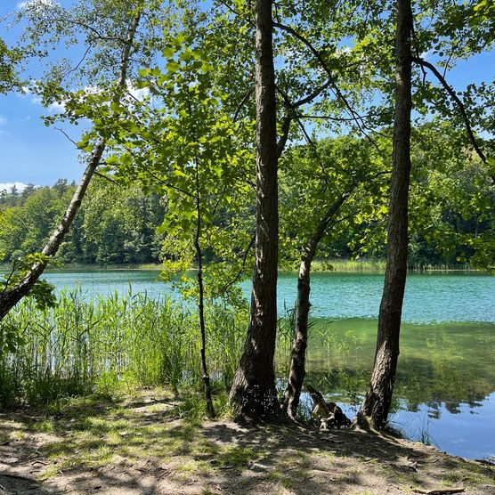 Blauer Liepnitzsee