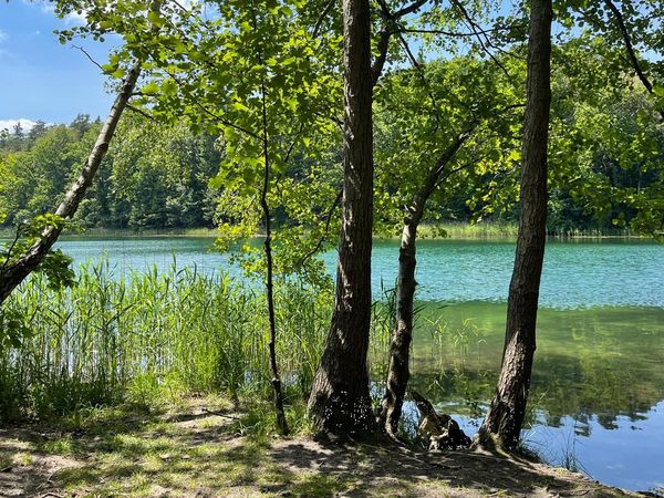 Blauer Liepnitzsee