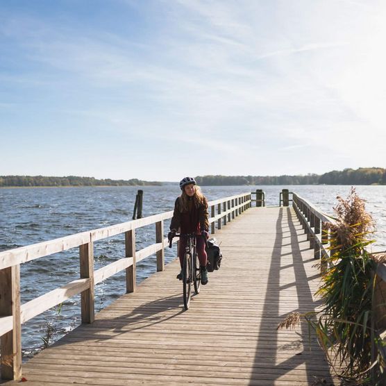 Adler trifft Zander Radtour am Scharmützelsee und Storkower See