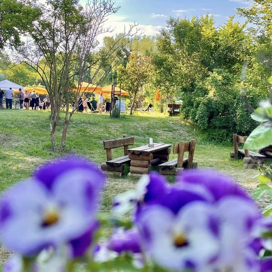 Wiese mit Blumen im Museumspark Rüdersdorf