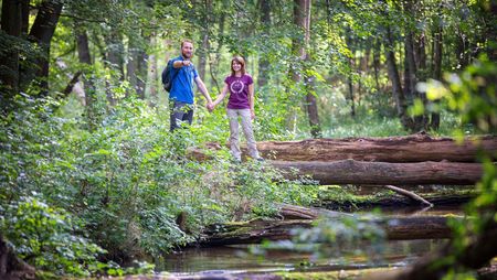 Naturparkroute Märkische Schweiz, Wandern an der Stobber in Märkisch Oderland