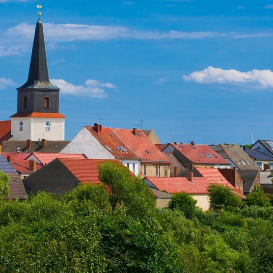 Blick von einem Feld auf die Stadt Friedland (Niederlausitz) und der Stadtpfarrkirche – es sind vor allem Dächer zu sehen