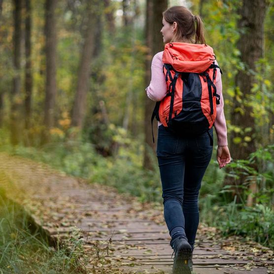 Eine junge Frau wandert auf dem Holzknüppeldamm (