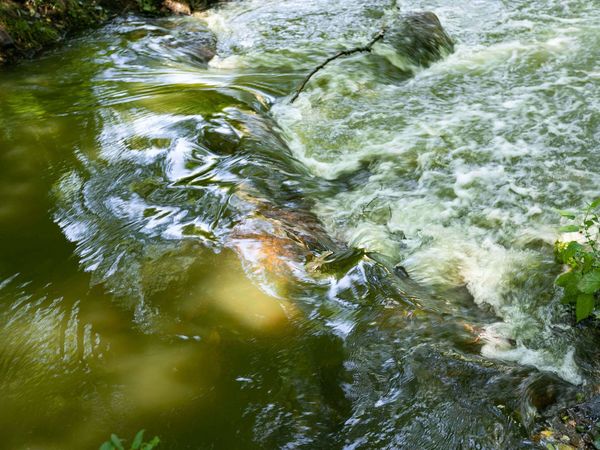 Die Schlaube entlang des Schlaube-Wanderweges im Naturpark Schlaubetal in Oder-Spree