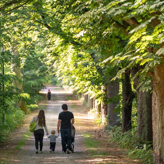 Eine junge Familie mit Kleinkind wandert durch eine Allee