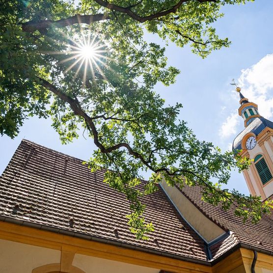 Froschperspektive auf die Kirche Schöneiche mit Baum 