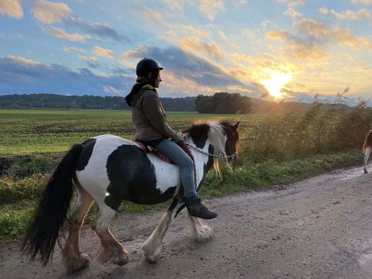 Austritt bei Sonnenuntergang beim Slow Trip "Auszeit mit Pferden"