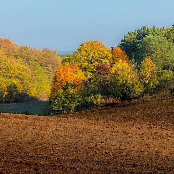 Herbstliche Landschaft