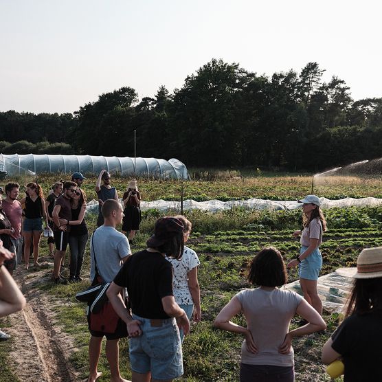 Mitmachaktion mit vielen Menschen auf einem Feld bei PlantAge von Frankfurt(Oder)