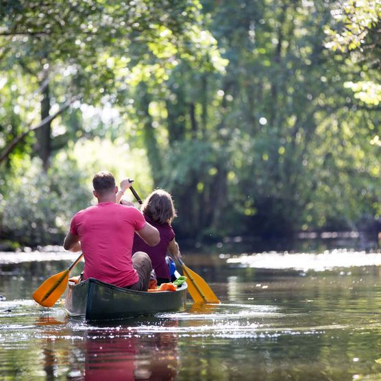 Kanu fahren in der Flusslandschaft Spree