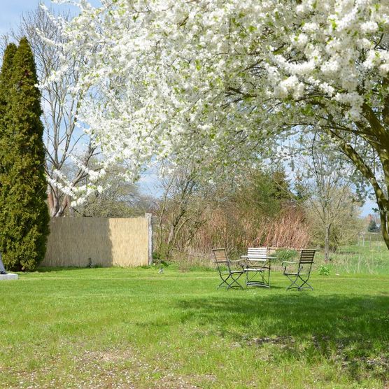 Auf einer Wiese steht ein Gartentisch mit vier Gartenstühlen unter einem blühenden Baum. Es handelt sich um den Museumsgarten im Schloss Trebnitz