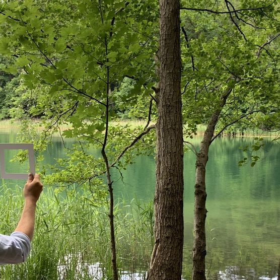 Naturpark Barnim am Liepnitzsee