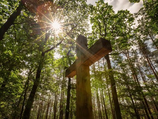 Ein Gipfelkreuz aus Holz wird durch die Bäume von der Sonne angestrahlt