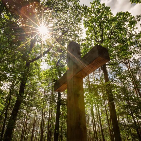 Ein Gipfelkreuz aus Holz wird durch die Bäume von der Sonne angestrahlt