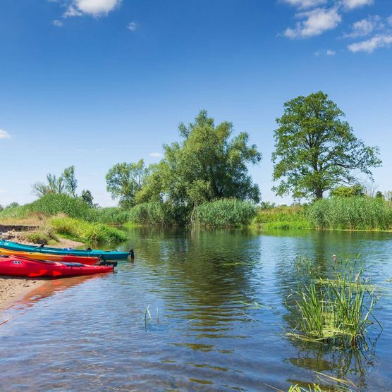 3 Kanus am Strand in der Natur 