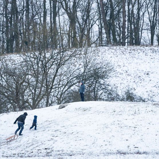 Eine erwachsene Person und ein Kind ziehen einen Schlitten auf einen kleinen schneebedeckten Hügel, wo eine andere Person steht und zuguckt.