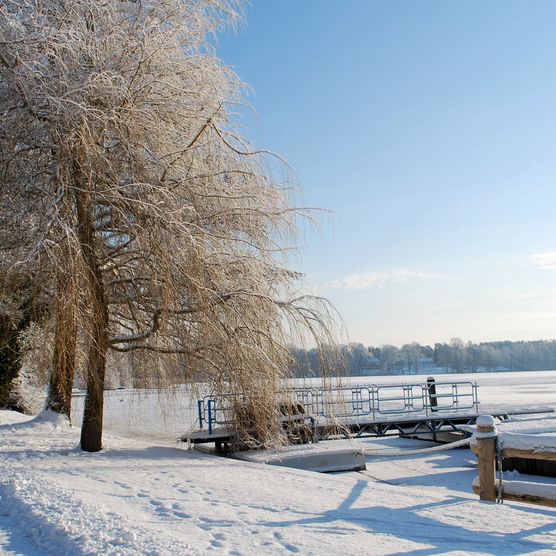 Winter in Bad Saarow am Scharmützelsee