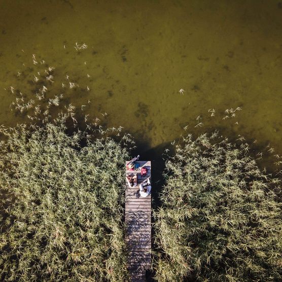 Steg am Storkower See entlang des 66-Seen-Wanderweges in Oder-Spree