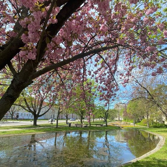 Gartenfließ im Frühling in Eisenhüttenstadt