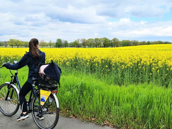 Eine Radfahrerin pausiert an einem blühenden Rapsfeld Radtour im Oderbruch, unterwegs auf der Radtour "Auf den Spuren des Alten Fritz".