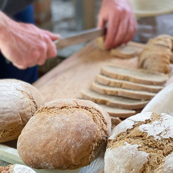 Brote und Brotscheiben