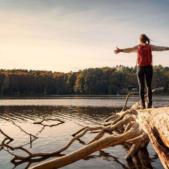 Wandern am Schervenzsee im Herbst im Schlaubetal in Oder-Spree