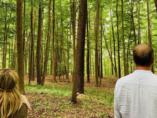 Zwei Menschen stehen im Wald und genießen die Ruhe im Naturpark Barnim.