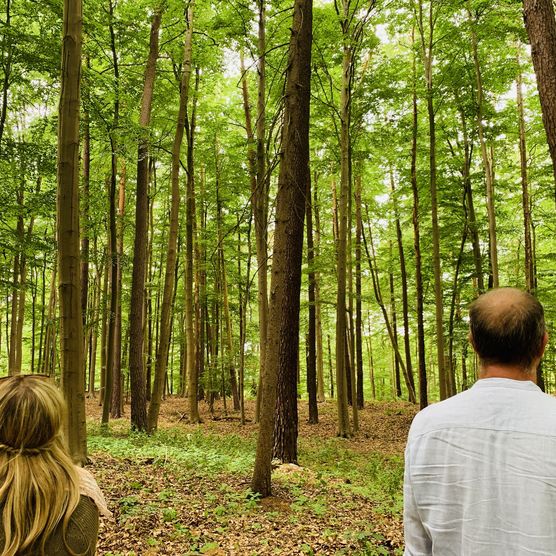 Zwei Menschen stehen im Wald und genießen die Ruhe im Naturpark Barnim.