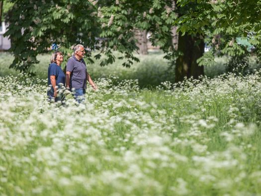 Ein Paar spaziert durch den Frankfurter Kleistpark