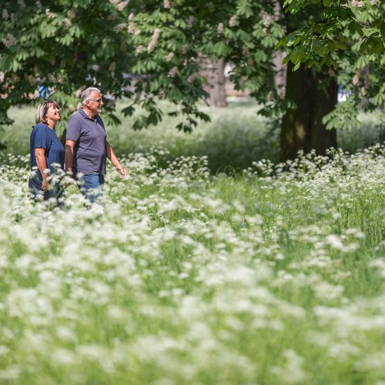 Ein Paar spaziert durch den Frankfurter Kleistpark