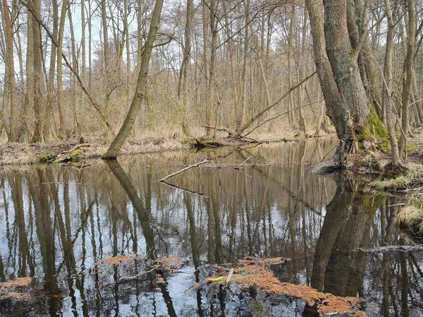 Blick auf die Löcknitz im Löcknitztal