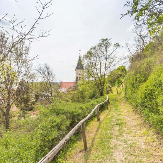 Blick auf die Oder vom Burgberg Lebus