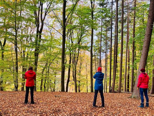Drei Personen stehen im Wald