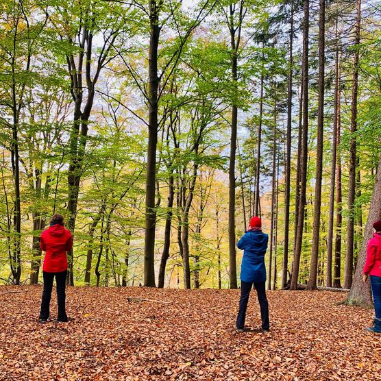 Drei Personen stehen im Wald