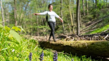 Frühlingswanderung in der Märkischen Schweiz