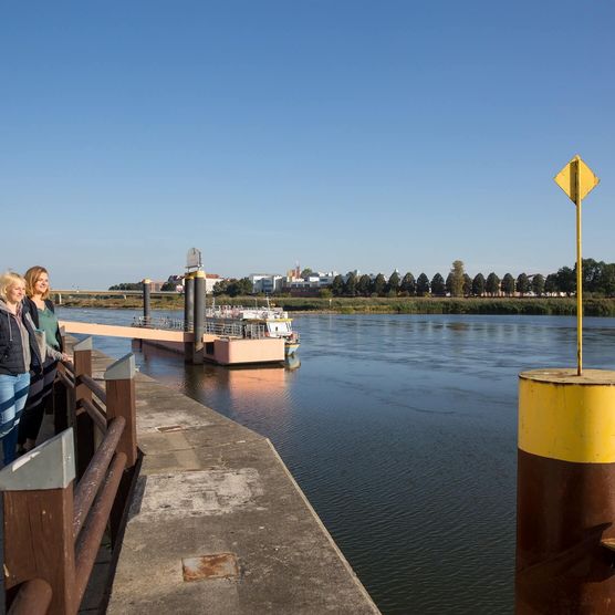 Frankfurt (Oder) am Wasser in Oder / Spree