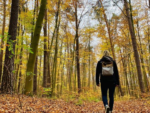 Frau wandert durch den Wald im Herbst