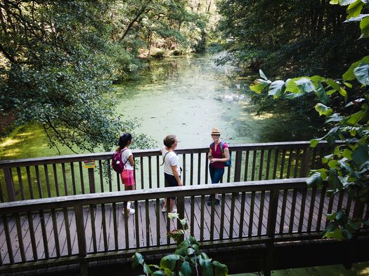 3 Wanderinnen auf einer Brücke über der Löcknitz auf dem 66-Seen-Wanderweg