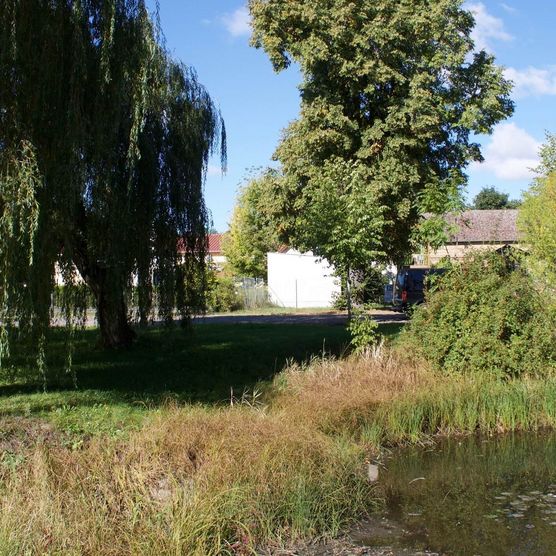 Forellenteich in der Gemeinde Schöneiche bei Berlin